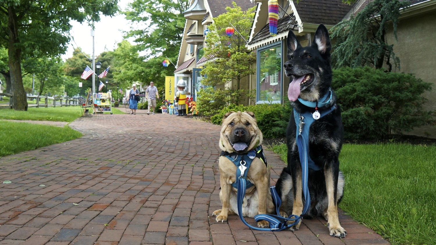 Dog Friendly Peddlers Village - Bucks County, PA