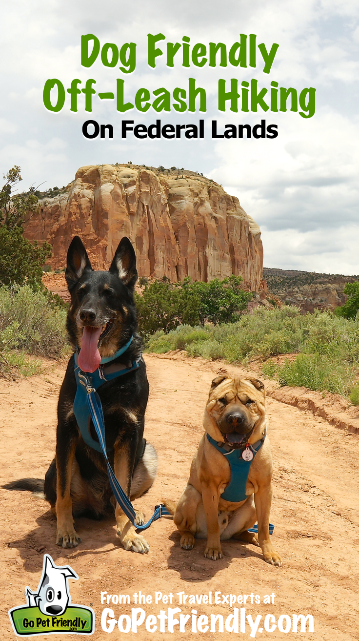 Dog Friendly Off-Leash Hiking on Federal Lands | GoPetFriendly.com