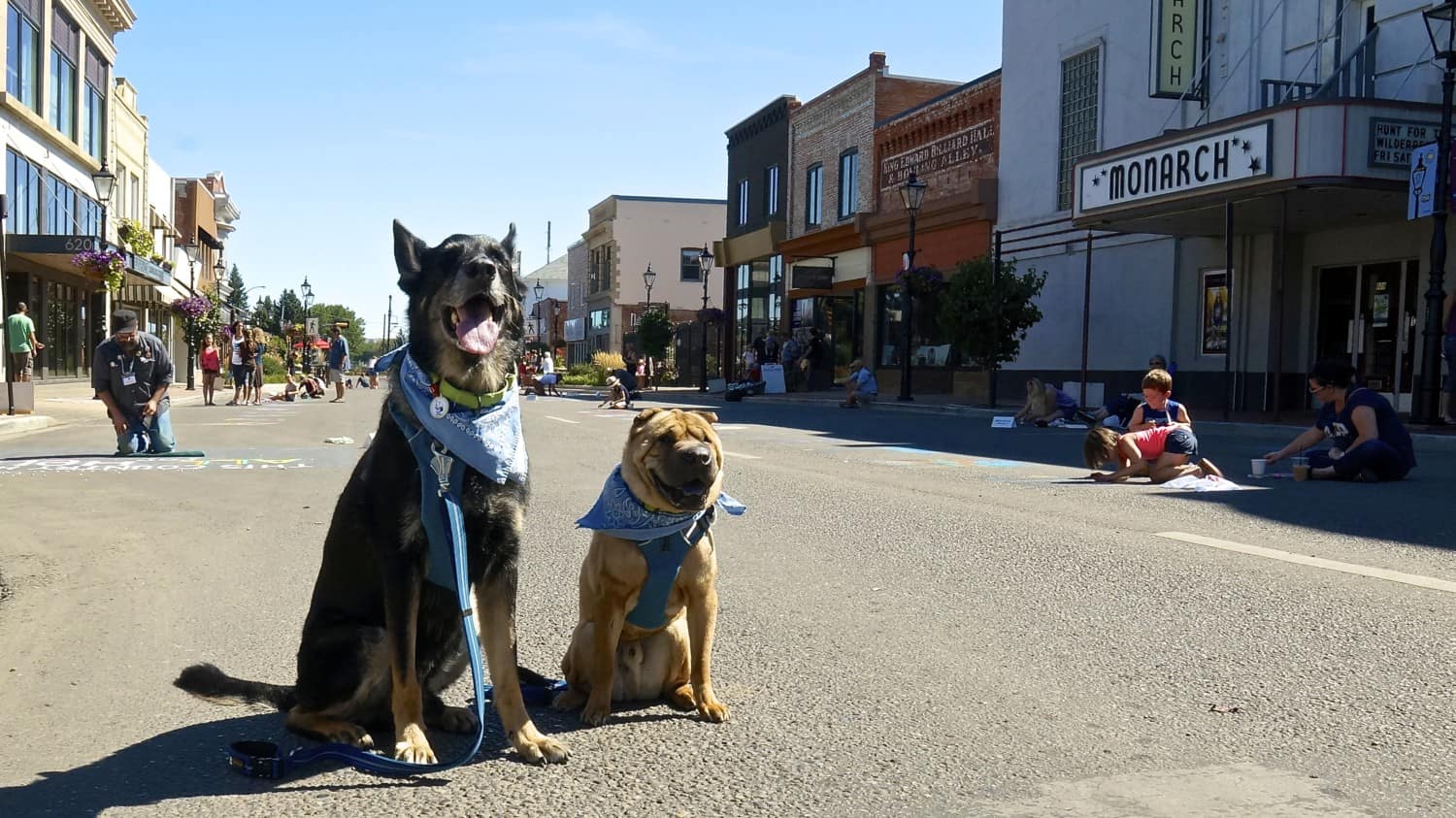 A Dog Friendly Visit to Medicine Hat, AB | GoPetFriendly.com