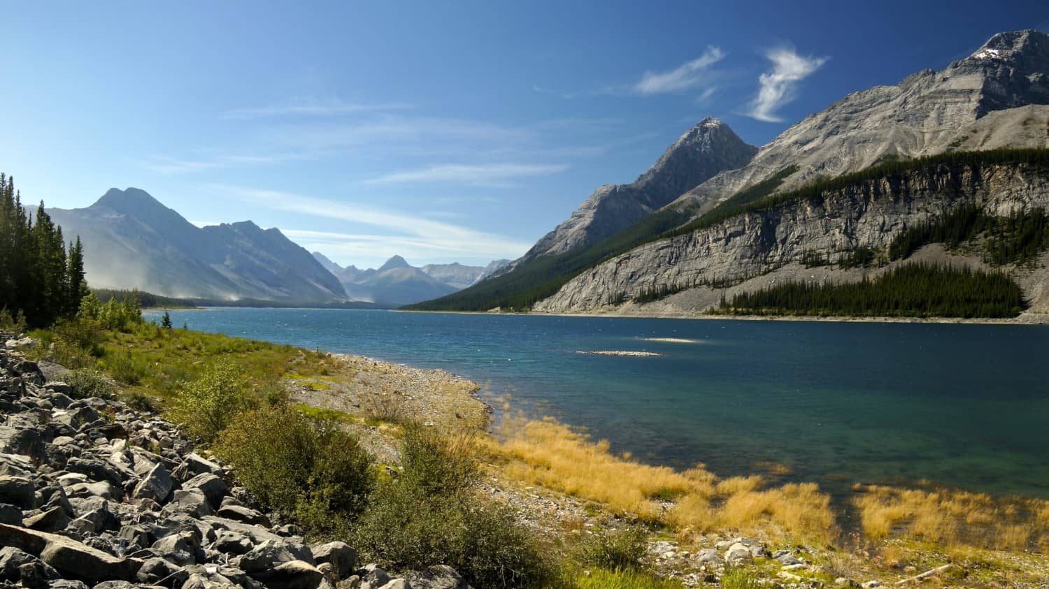 Visiting Dog Friendly Banff, AB | GoPetFriendly.com