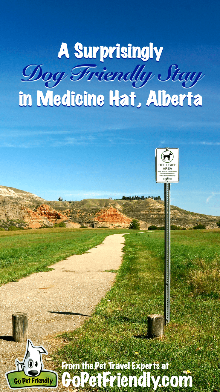 A Dog Friendly Visit to Medicine Hat, AB | GoPetFriendly.com