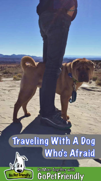 Shar-pei dog standing between a woman's legs looking at the camera with mountains in the background