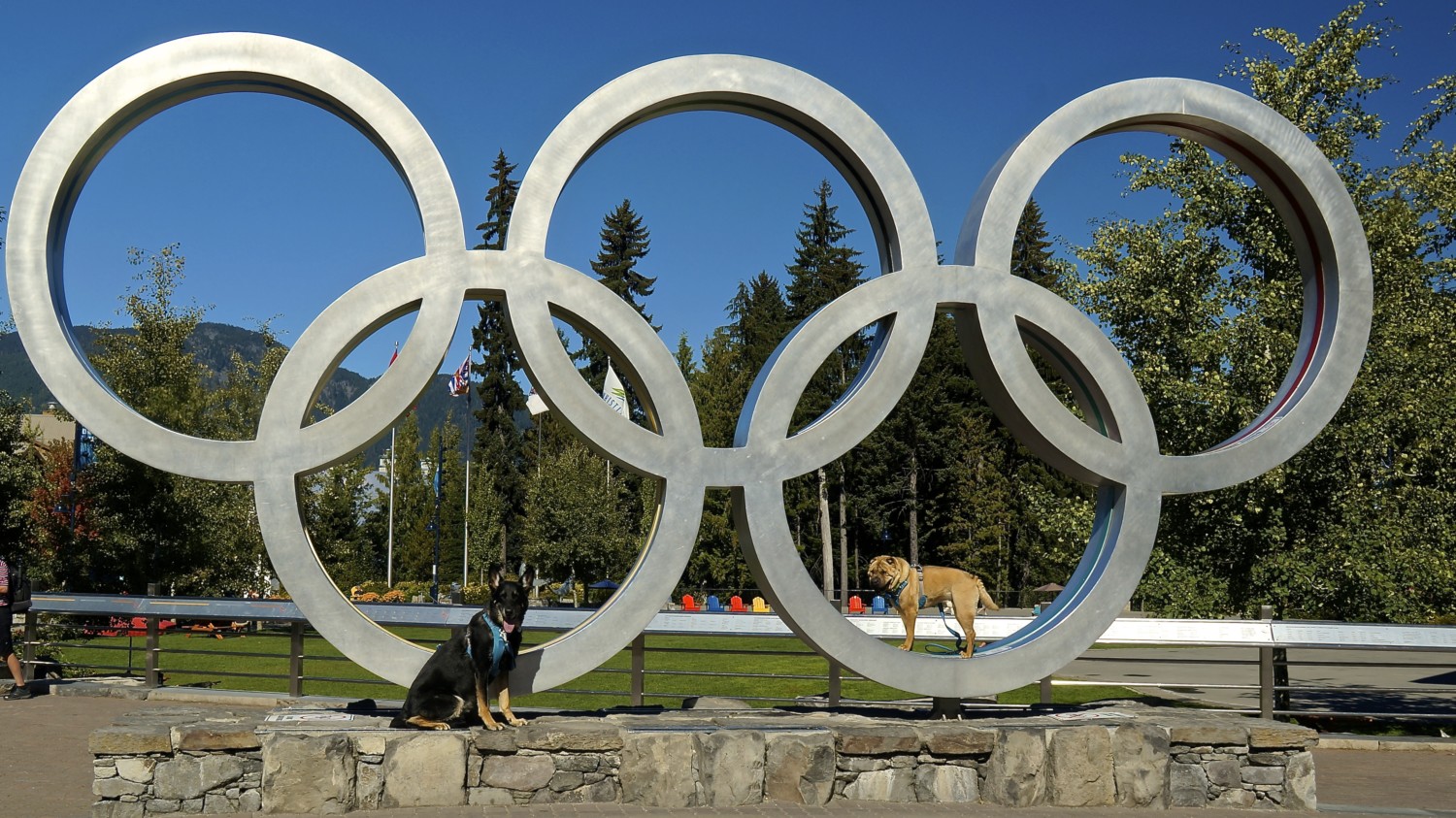 Whistler, BC - A Dog Friendly Day Trip from Vancouver