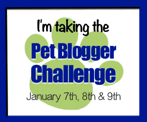 You're Invited to Join the 7th Annual Pet Blogger Challenge | GoPetFriendly.com