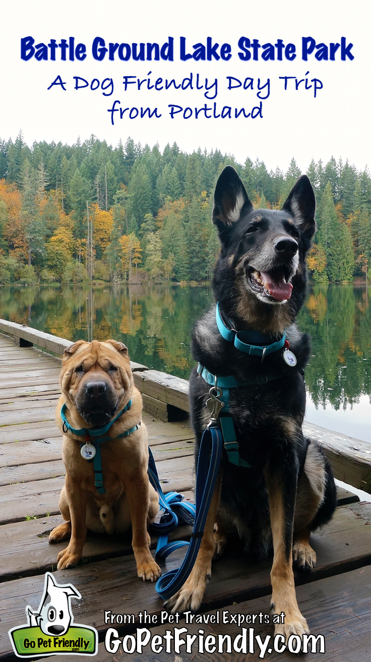 Battle Ground Lake State Park: A Day Trip for Portland | GoPetFriendly.com