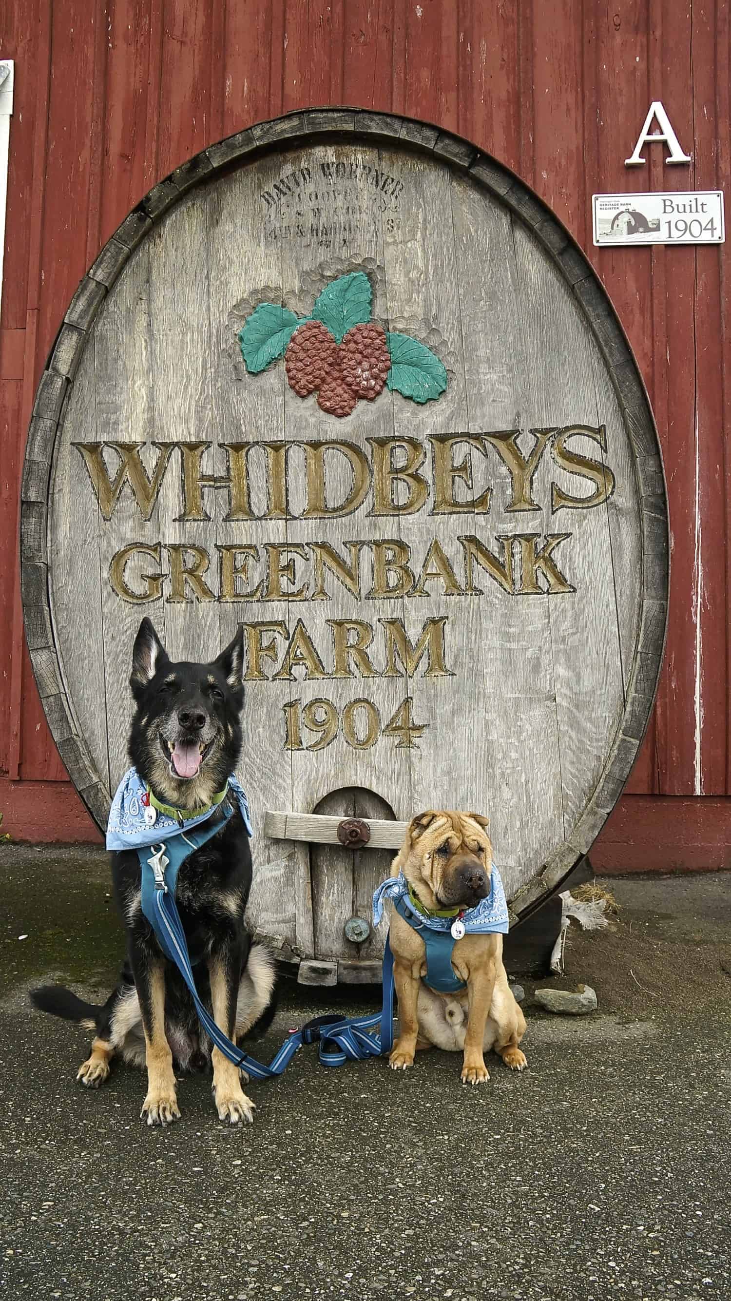 Exploring Fidalgo and Whidbey Island with Dogs | GoPetFriendly.com