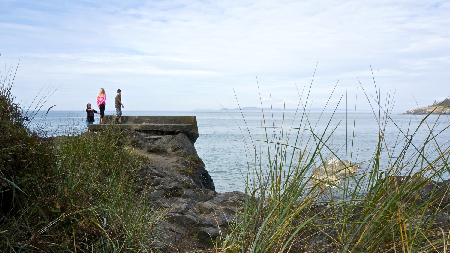 Photo Safari in Anacortes, WA | GoPetFriendly.com