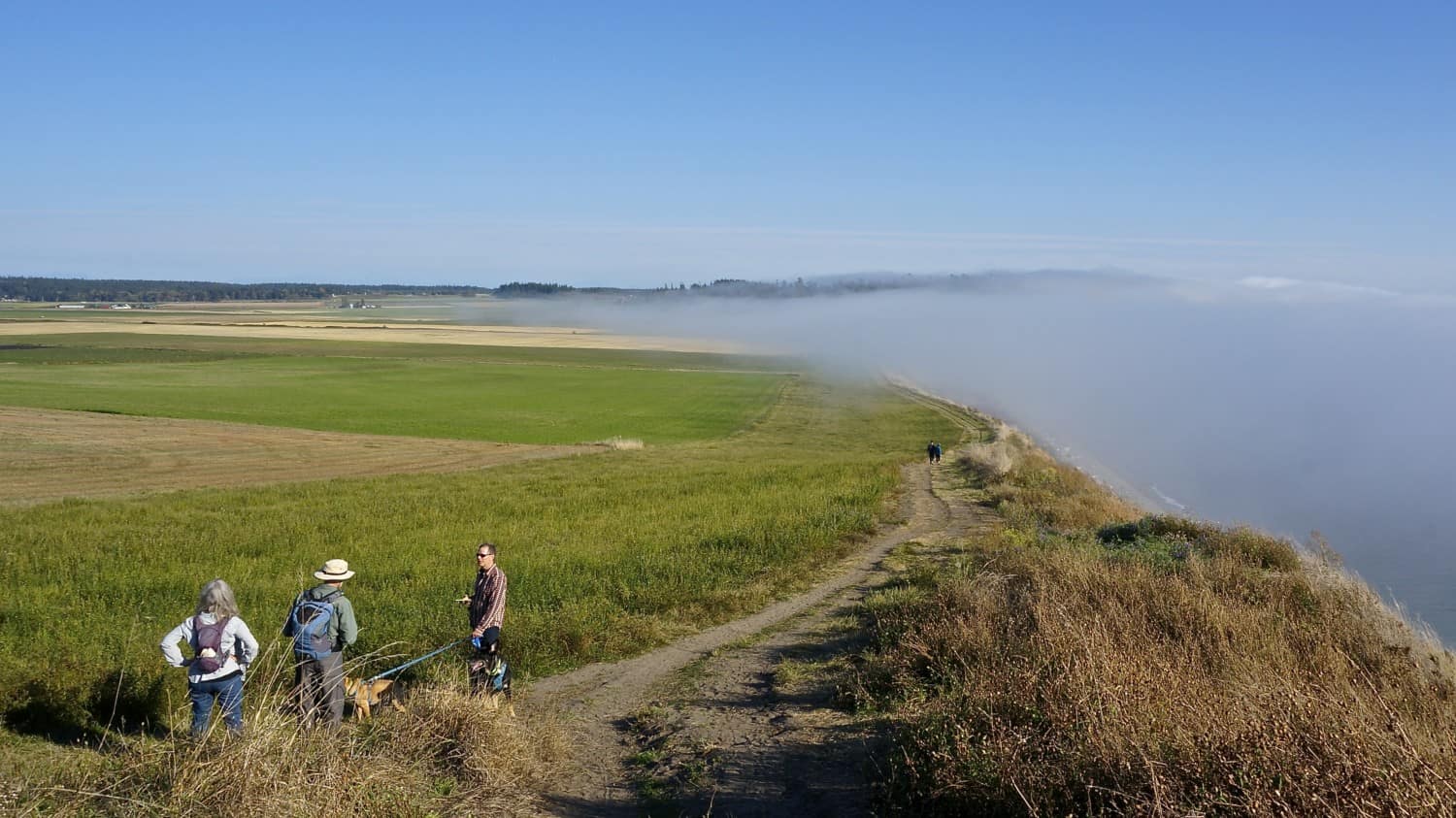 Exploring Fidalgo and Whidbey Island with Dogs | GoPetFriendly.com