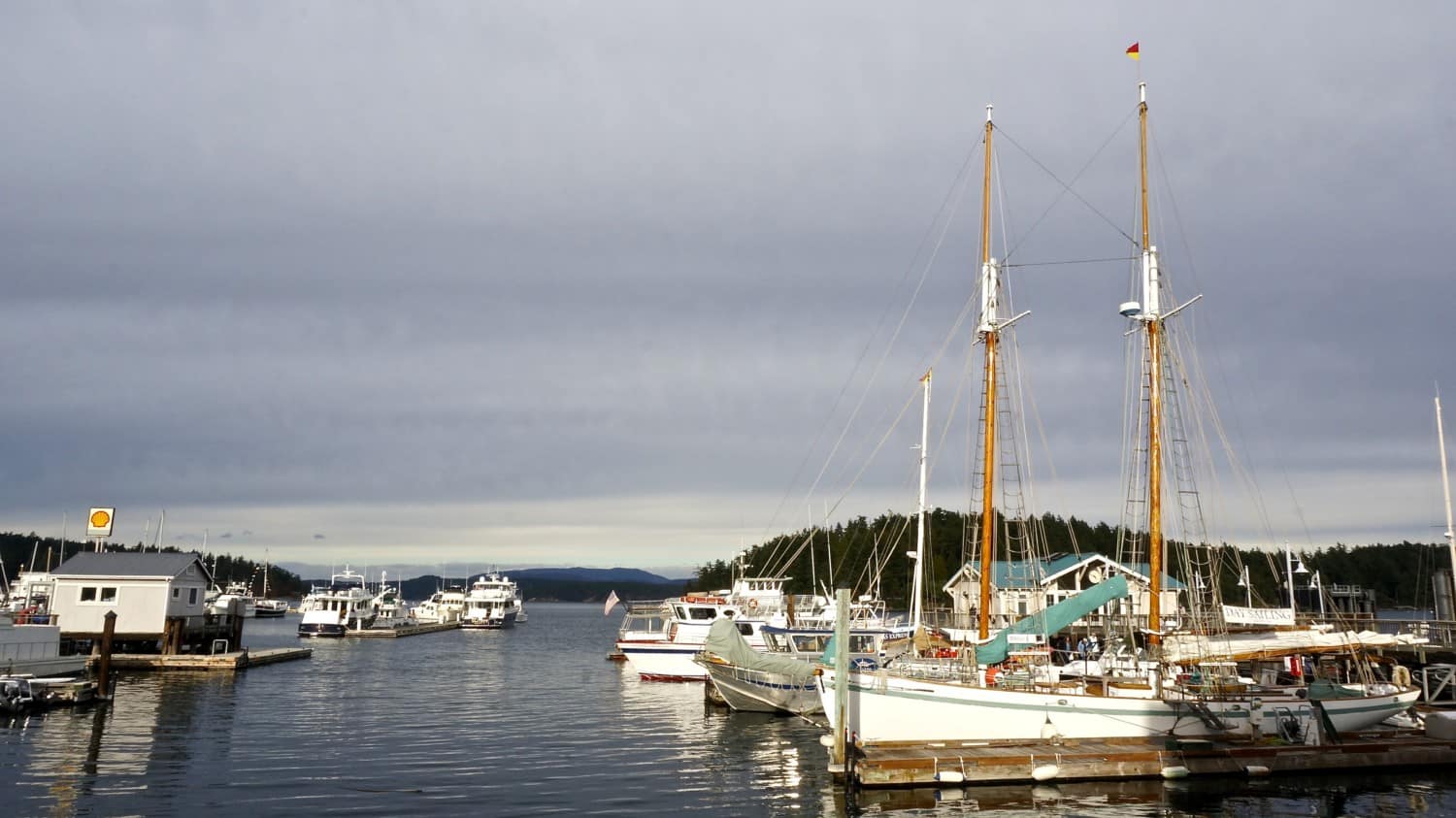 San Juan Islands: A Pet Friendly Adventure | GoPetFriendly.com