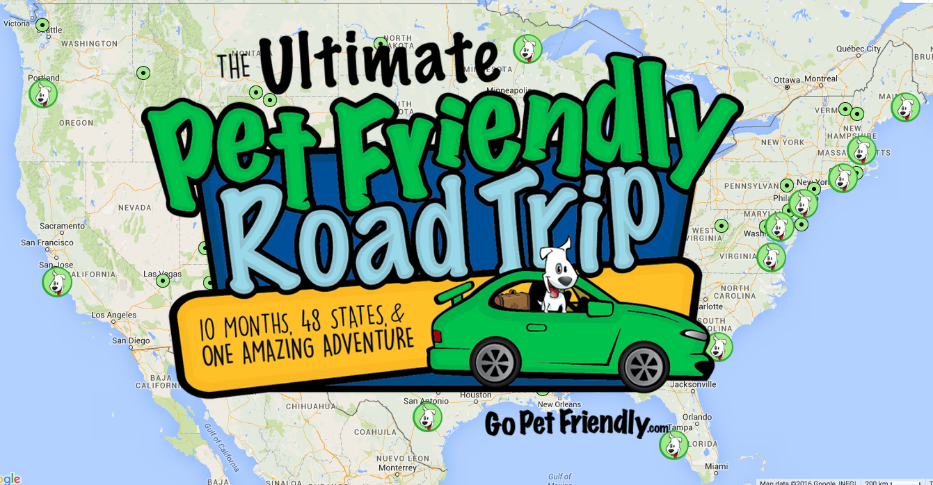 The Ultimate Pet Friendly Road Trip Map and Logo