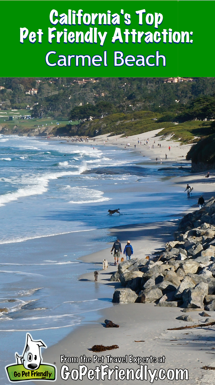 California's Top Pet Friendly Attraction: Carmel Beach | GoPetFriendly.com