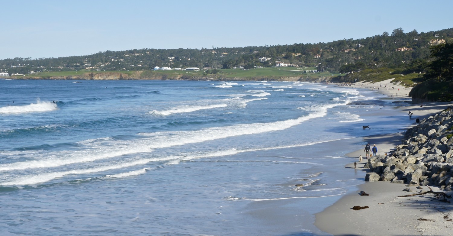 California's Top Pet Friendly Attraction: Carmel Beach | GoPetFriendly.com