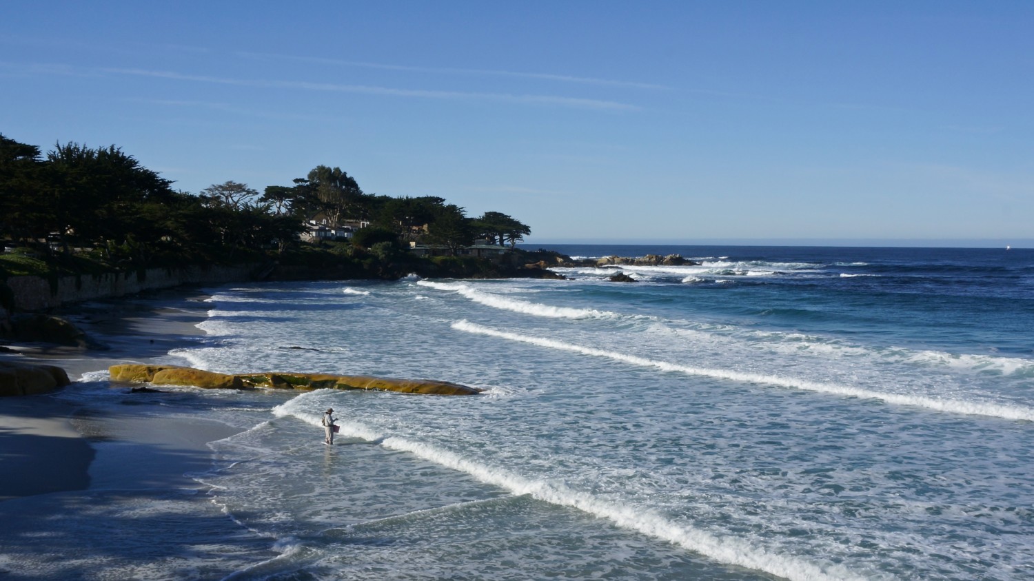 California's Top Pet Friendly Attraction: Carmel Beach | GoPetFriendly.com