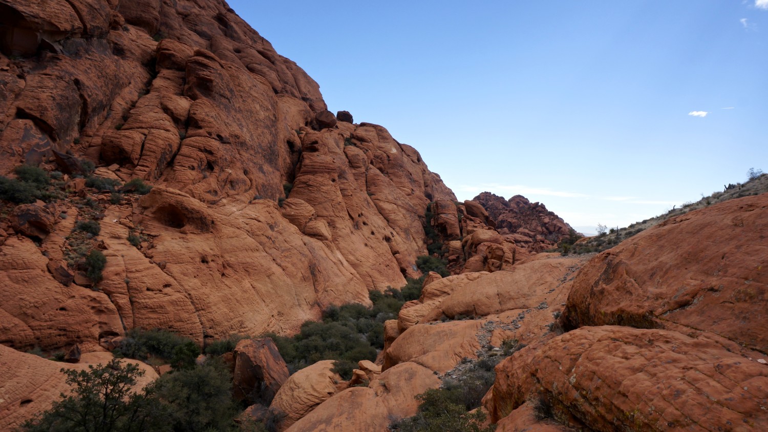 Nevada's Top Pet Friendly Attraction: Red Rock Canyon | GoPetFriendly.com