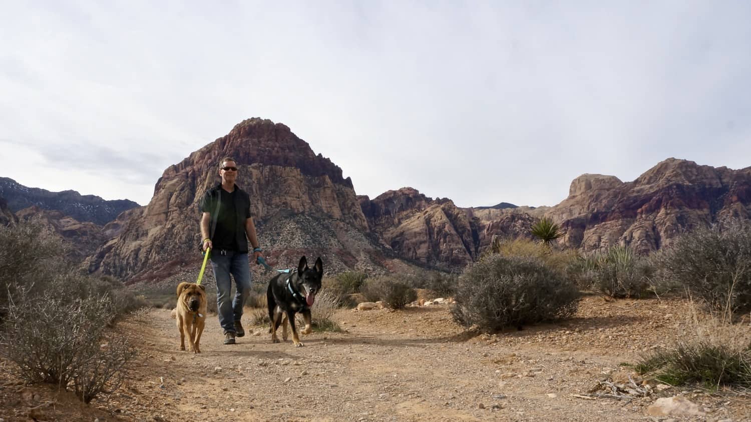 Nevada's Top Pet Friendly Attraction: Red Rock Canyon | GoPetFriendly.com
