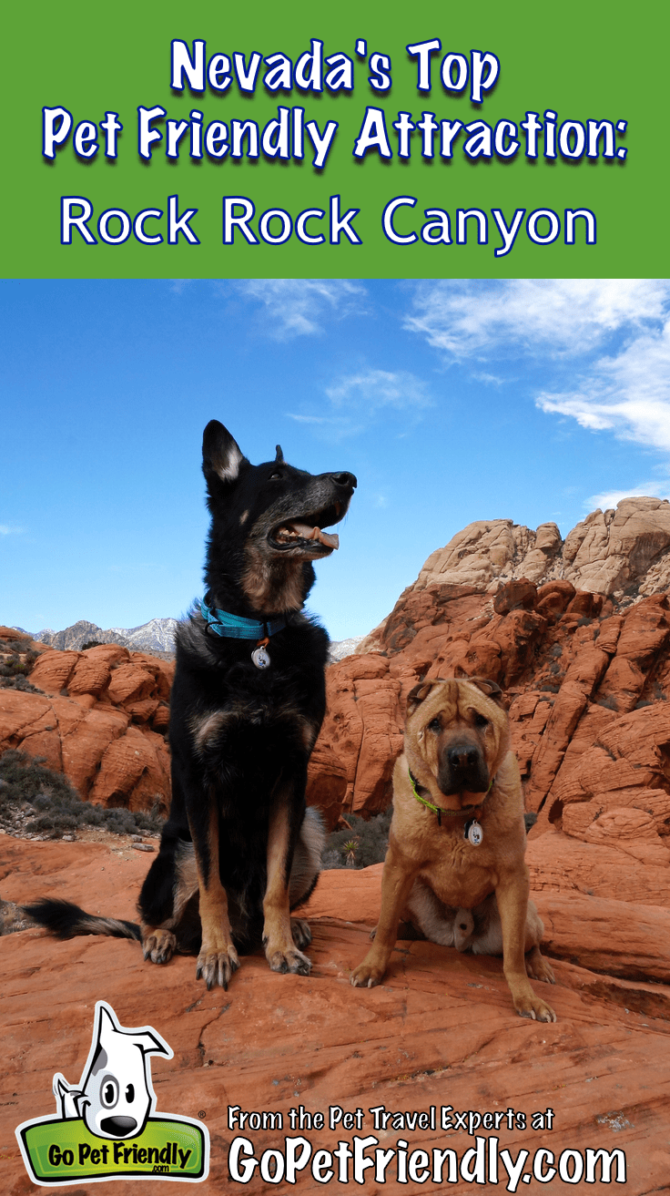 Nevada's Top Pet Friendly Attraction: Red Rock Canyon | GoPetFriendly.com