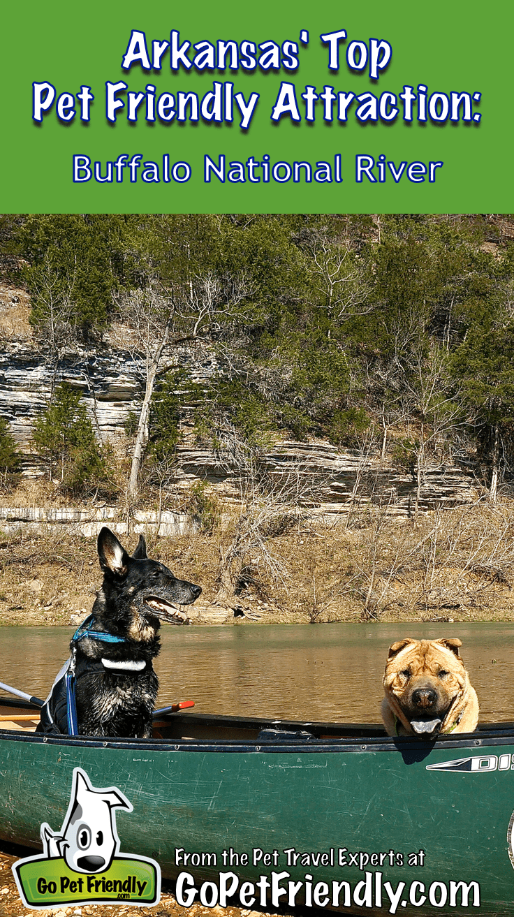 Arkansas' Top Pet Friendly Attractions: Buffalo National River | GoPetFriendly.com