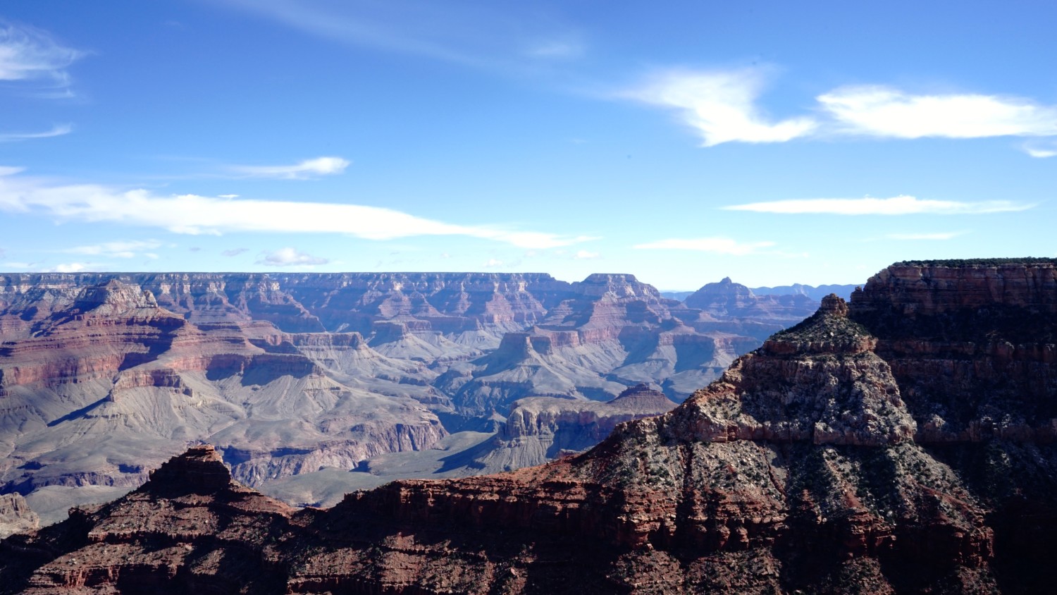 are dogs allowed grand canyon national park