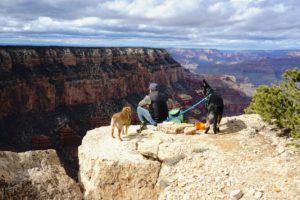 Man and two dogs enjoying the view at Grand Canyon National Park