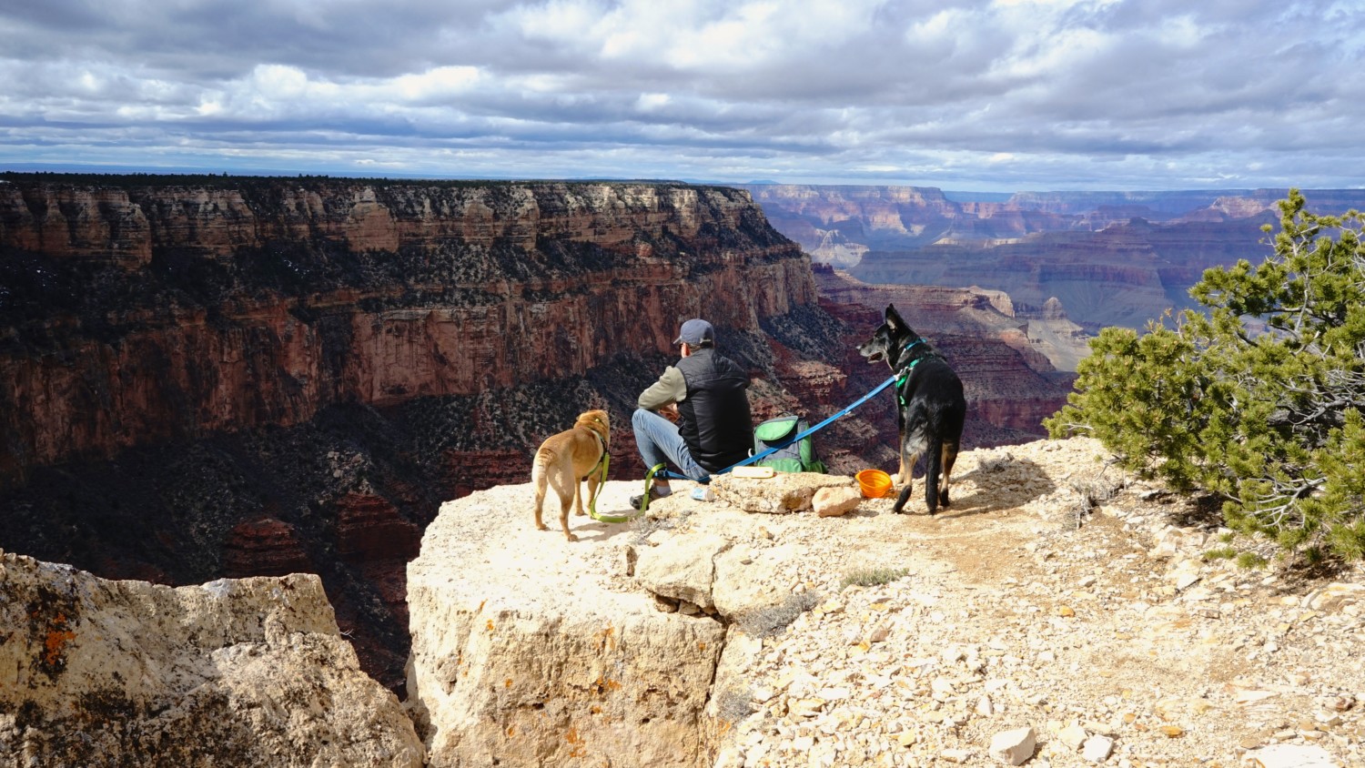 America’s Best Dog Friendly National Parks