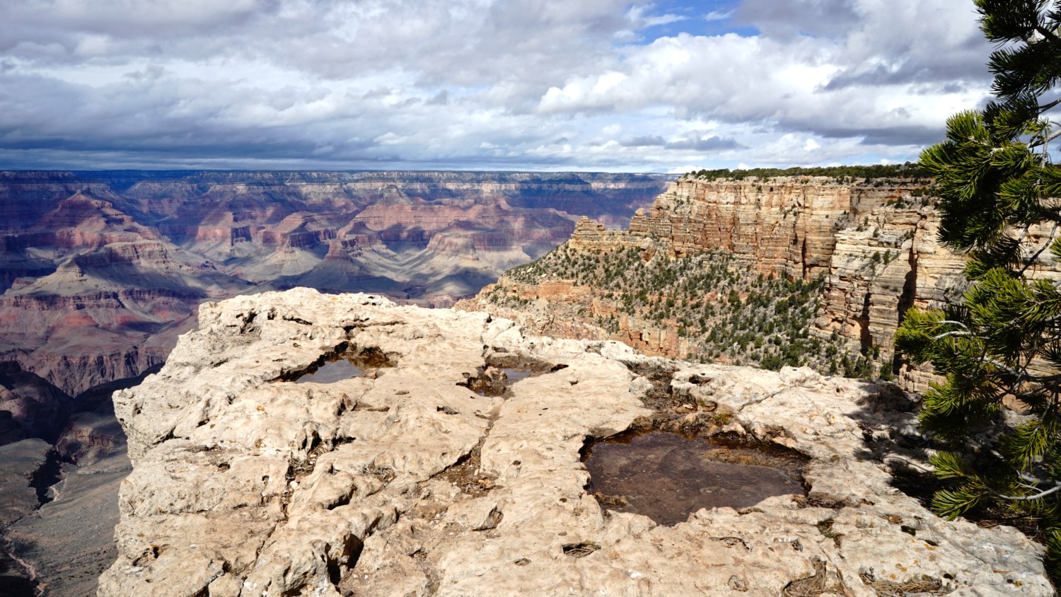 Pet Friendly National Park: The Grand Canyon | GoPetFriendly.com