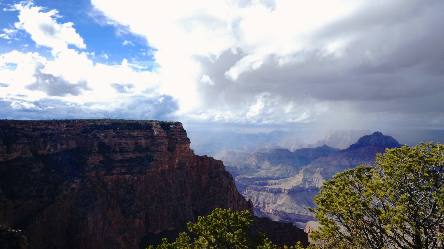 are dogs allowed grand canyon national park