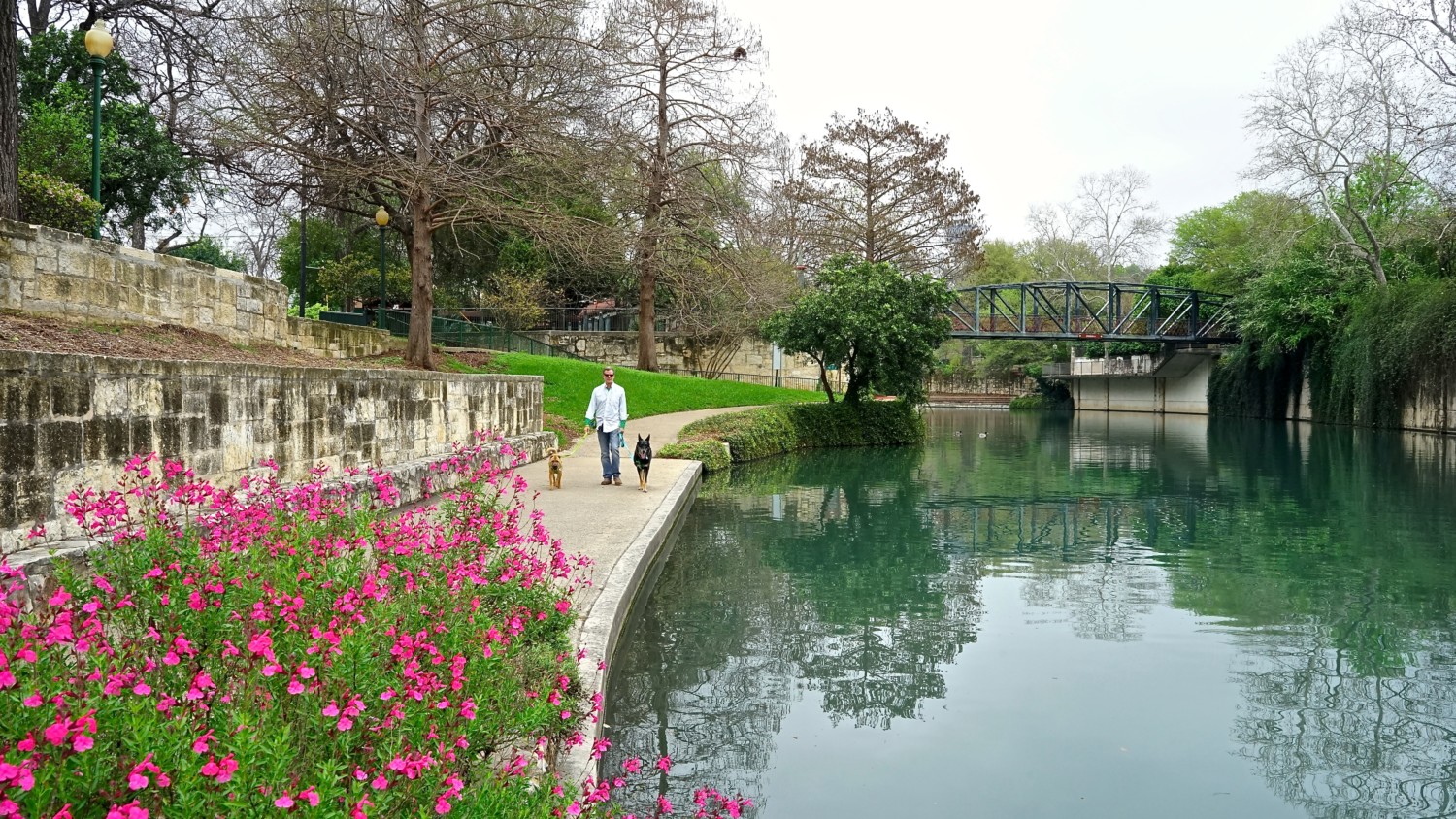 Texas' Top Pet Friendly Attraction: The San Antonio River Walk | GoPetFriendly.com