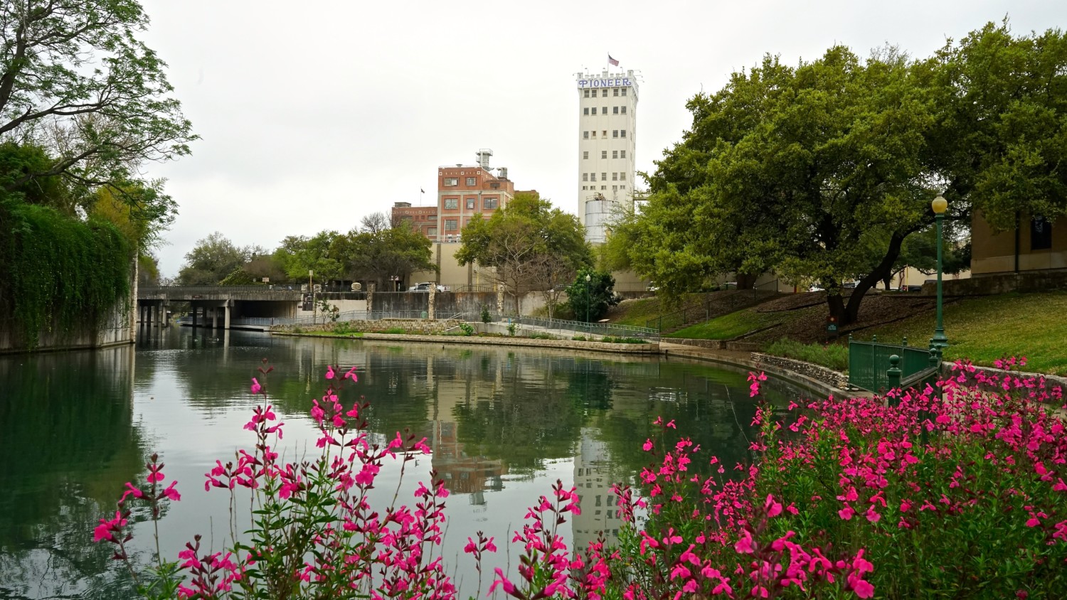 Texas' Top Pet Friendly Attraction: The San Antonio River Walk | GoPetFriendly.com
