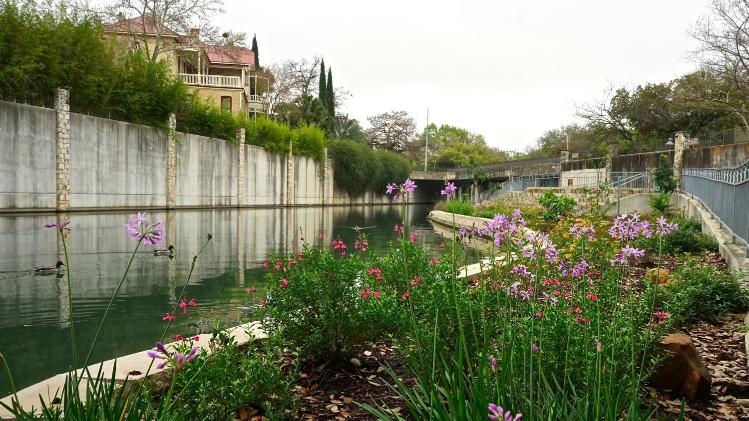 Texas' Top Pet Friendly Attraction: The San Antonio River Walk | GoPetFriendly.com