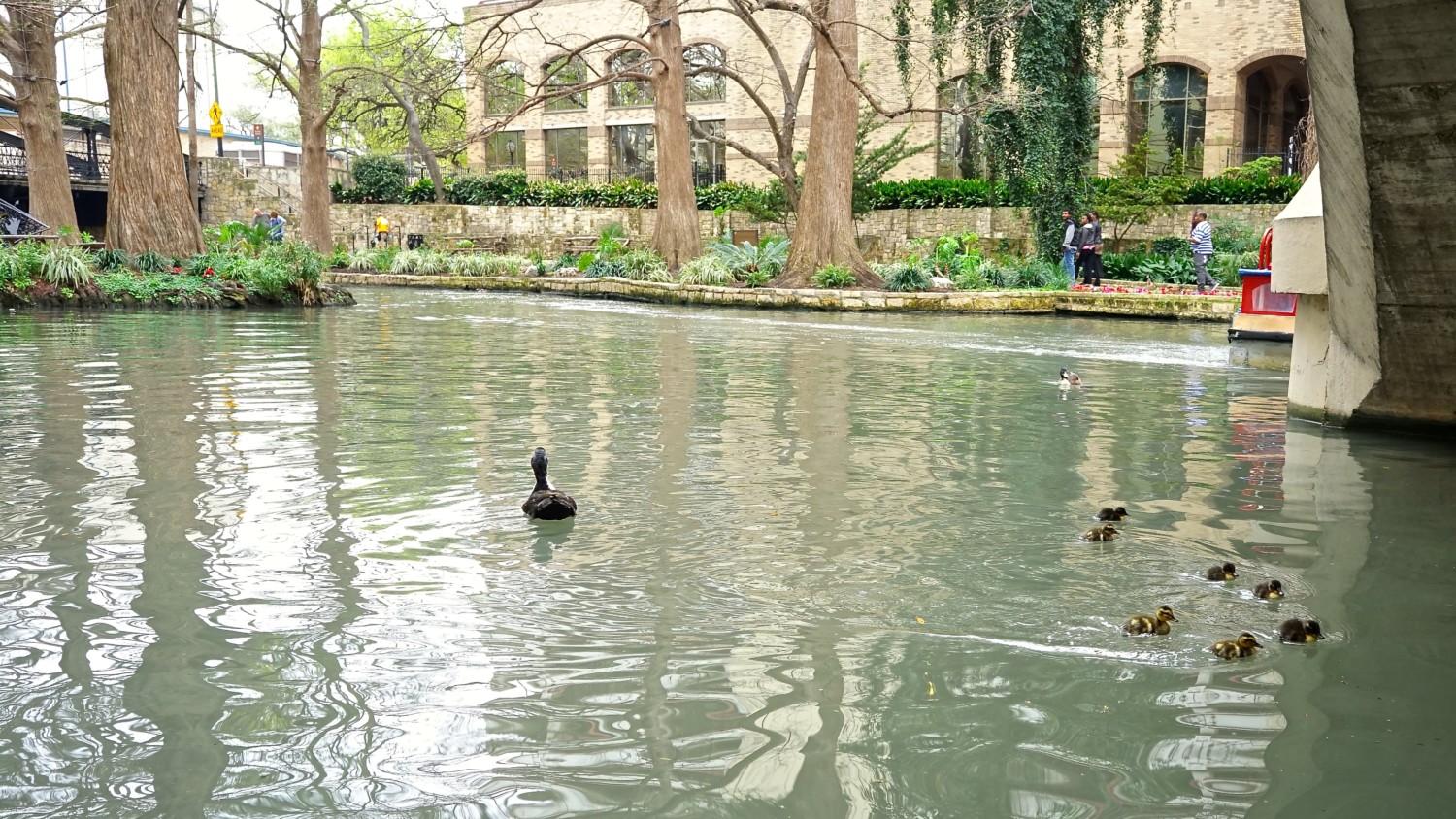 Texas' Top Pet Friendly Attraction: The San Antonio River Walk | GoPetFriendly.com