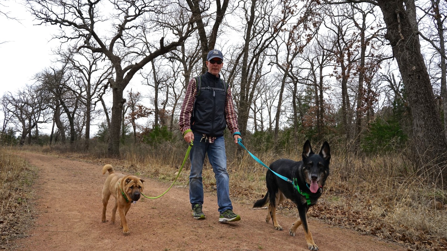 Oklahoma's Top Pet Friendly Attraction: Wichita Mountains Wildlife Refuge | GoPetFriendly.com