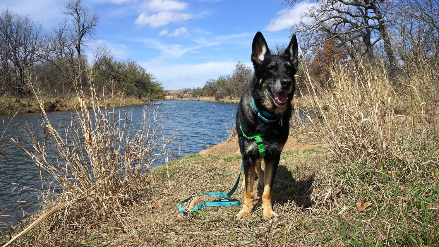 Oklahoma's Top Pet Friendly Attraction: Wichita Mountains Wildlife Refuge | GoPetFriendly.com