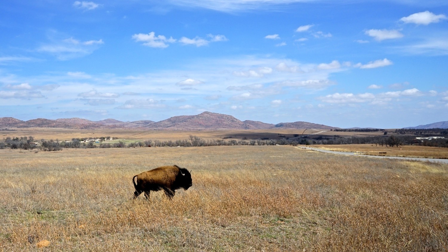 Oklahoma's Top Pet Friendly Attraction: Wichita Mountains Wildlife Refuge | GoPetFriendly.com