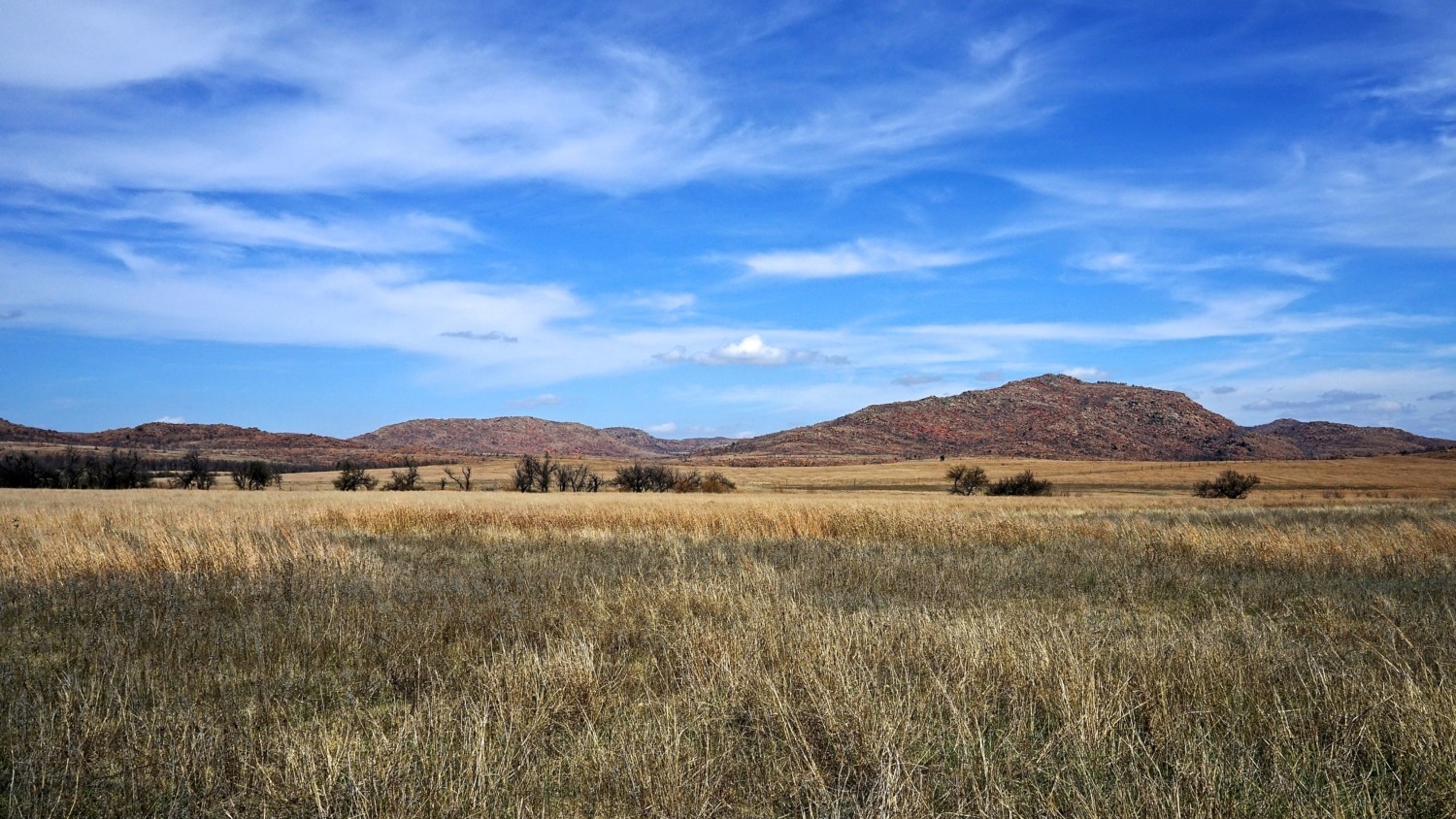 Oklahoma's Top Pet Friendly Attraction: Wichita Mountains Wildlife Refuge | GoPetFriendly.com