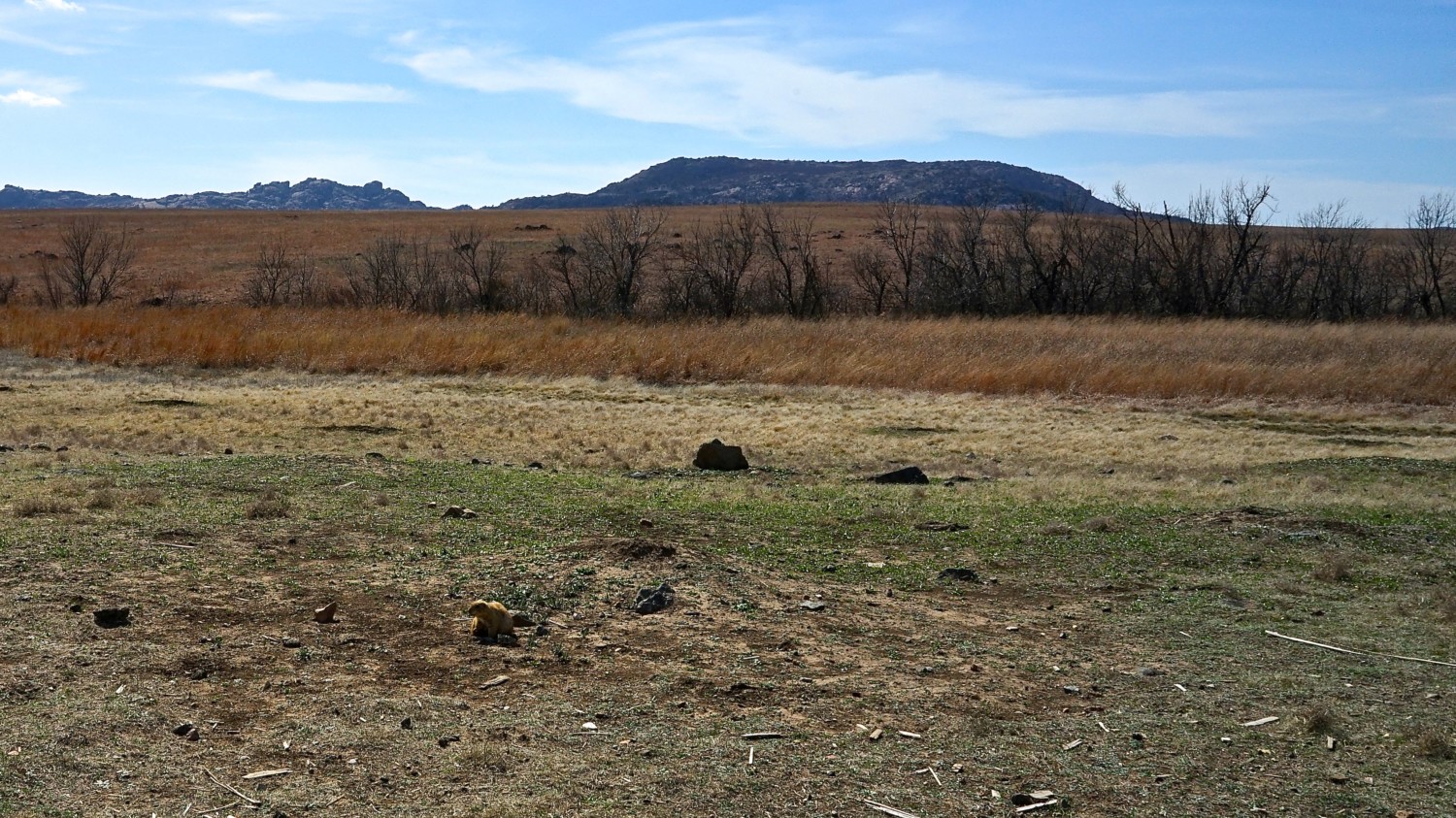 Oklahoma's Top Pet Friendly Attraction: Wichita Mountains Wildlife Refuge | GoPetFriendly.com