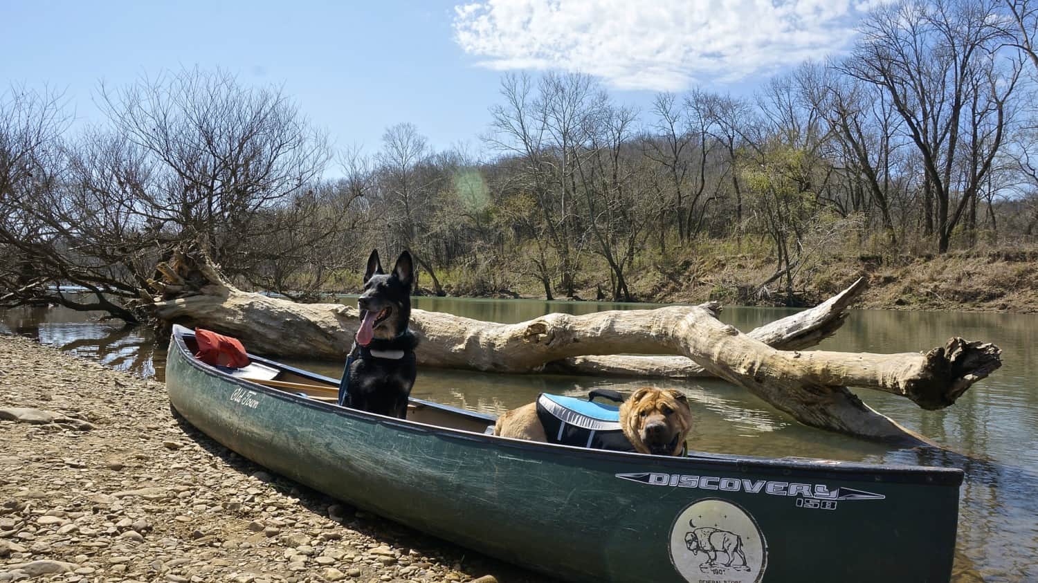 Arkansas' Top Pet Friendly Attractions: Buffalo National River | GoPetFriendly.com