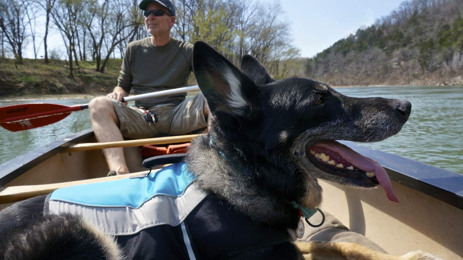 Arkansas' Top Pet Friendly Attractions: Buffalo National River | GoPetFriendly.com