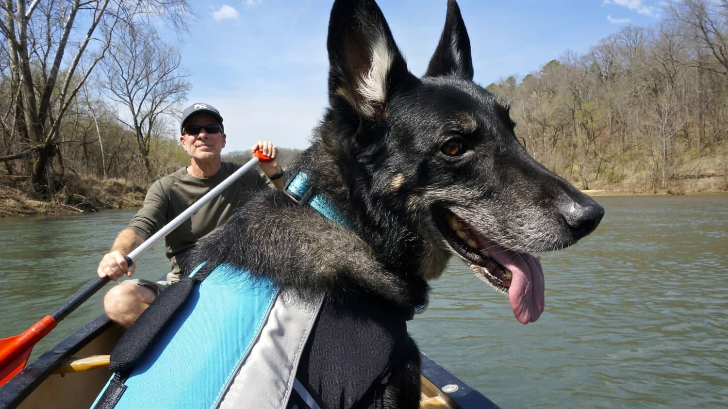 Arkansas' Top Pet Friendly Attractions: Buffalo National River | GoPetFriendly.com