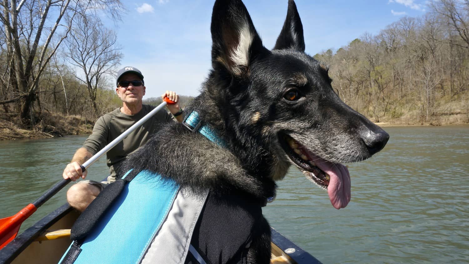 Arkansas' Top Pet Friendly Attractions: Buffalo National River | GoPetFriendly.com