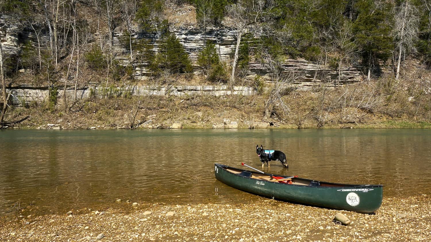 Arkansas' Top Pet Friendly Attractions: Buffalo National River | GoPetFriendly.com