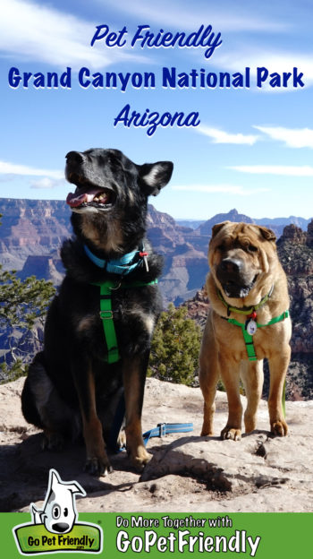 German Shepherd Dog and Shar-pei on the pet friendly trail at Grand Canyon National Park, Arizona