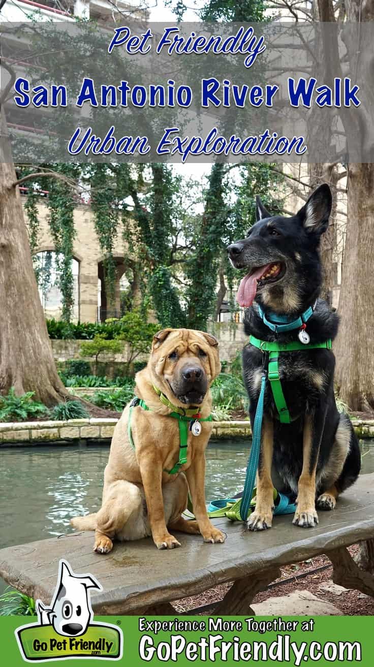 Two dogs sitting on a bench on the River Walk in pet friendly San Antonio, TX