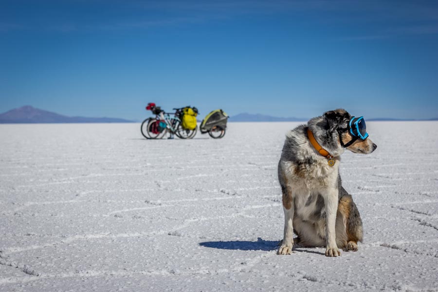 Ultimate Guide to Cycling Vacations with Pets | GoPetFriendly.com