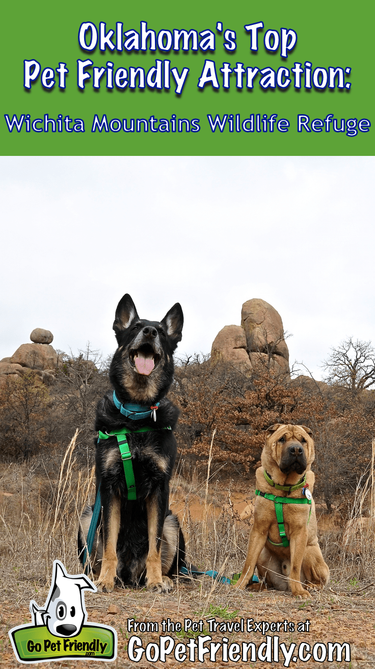 Oklahoma's Top Pet Friendly Attraction: Wichita Mountains Wildlife Refuge | GoPetFriendly.com