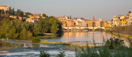 VanDoggo Italy Arno River