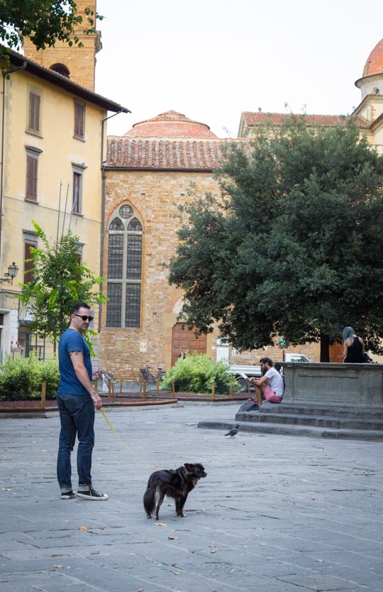 VanDoggo Italy Santo Sprito square