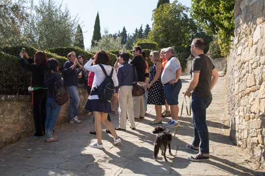 VanDoggo Italy Florence Vineyard2