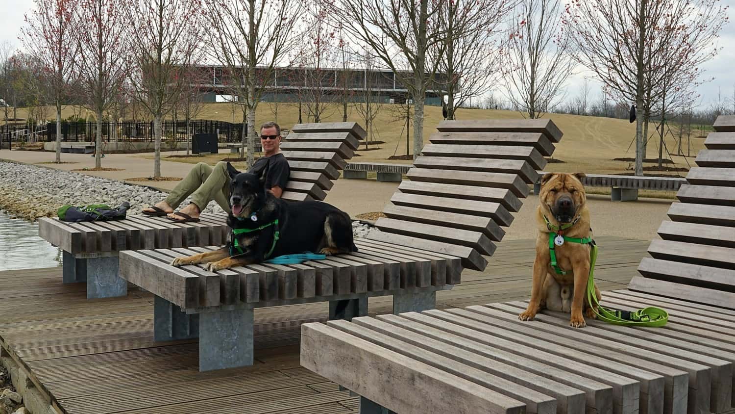 Tennessee's Top Pet Friendly Attraction: Shelby Farms Park | GoPetFriendly.com