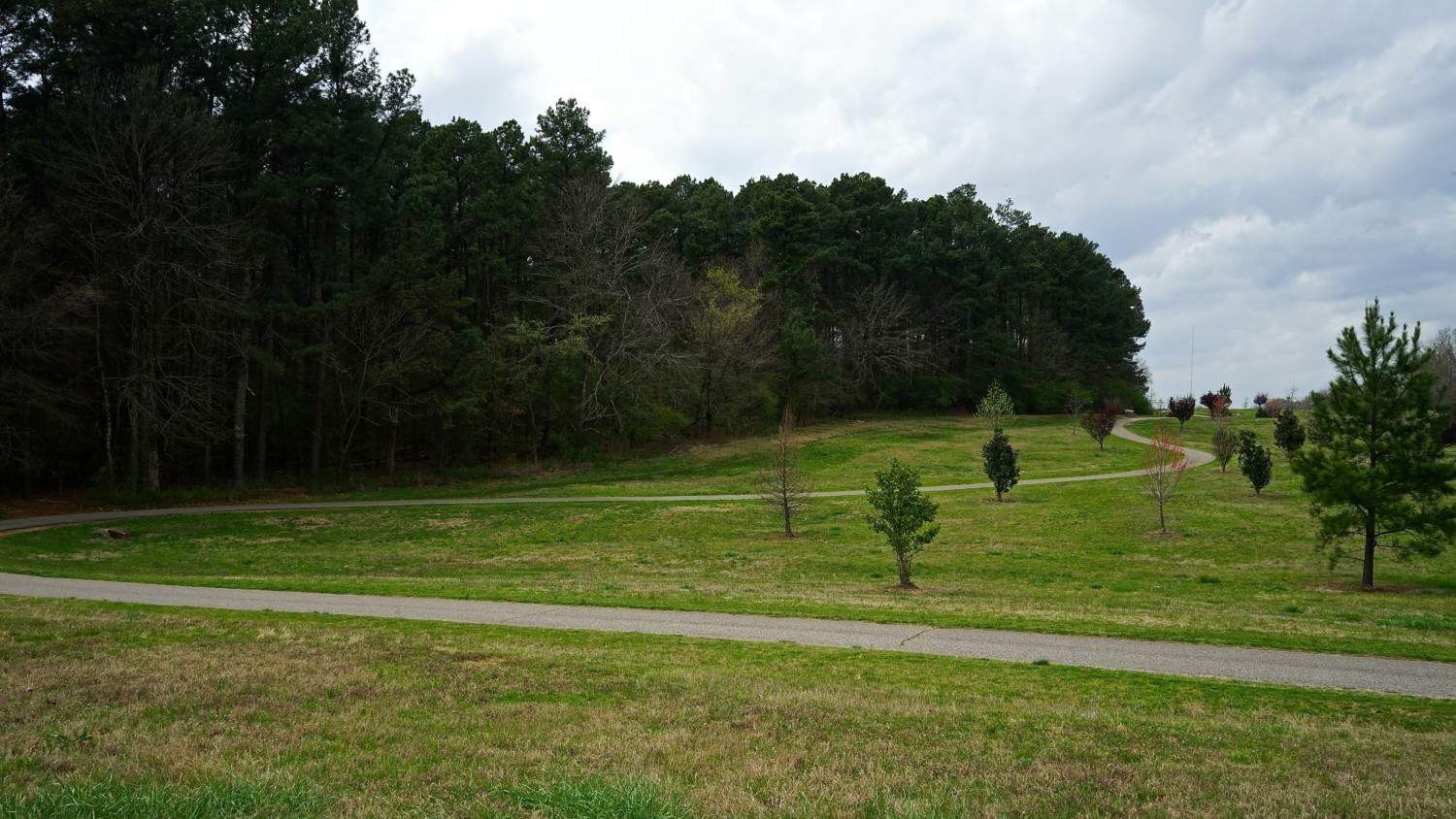 Tennessee's Top Pet Friendly Attraction: Shelby Farms Park | GoPetFriendly.com