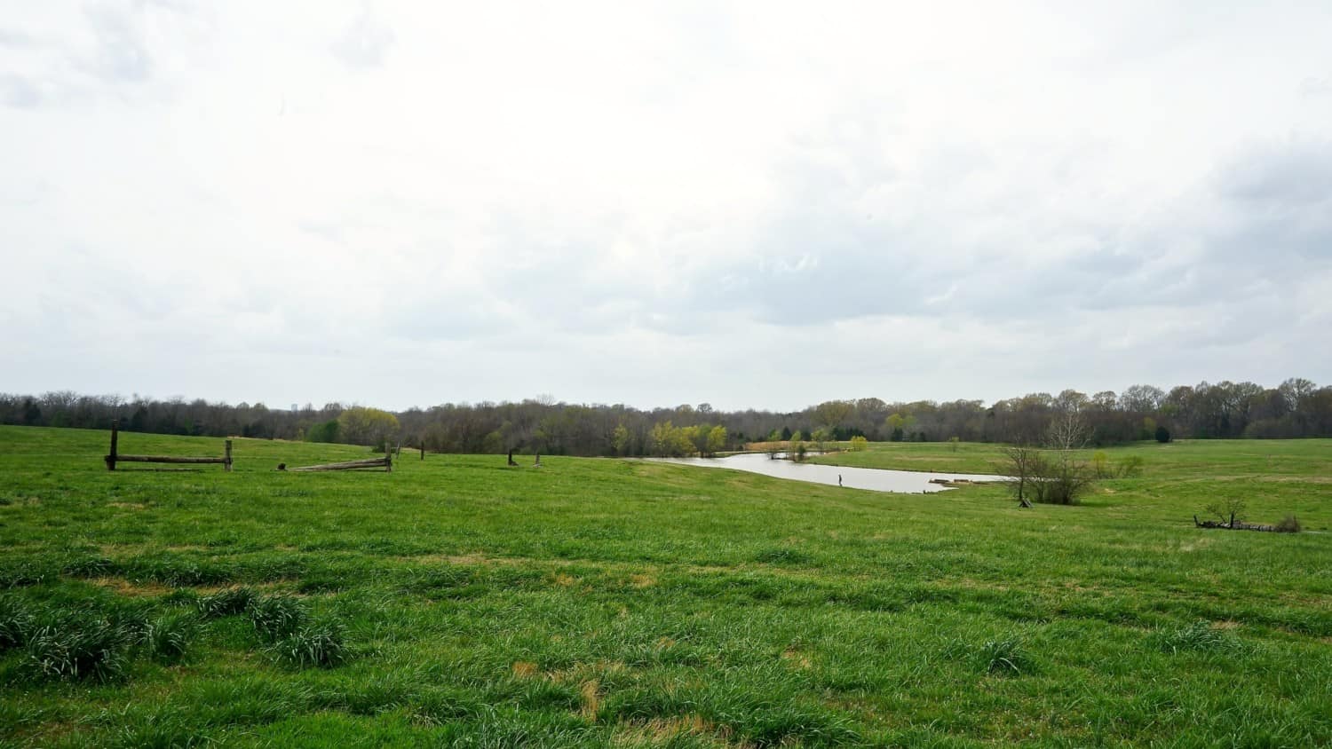 Tennessee's Top Pet Friendly Attraction: Shelby Farms Park | GoPetFriendly.com